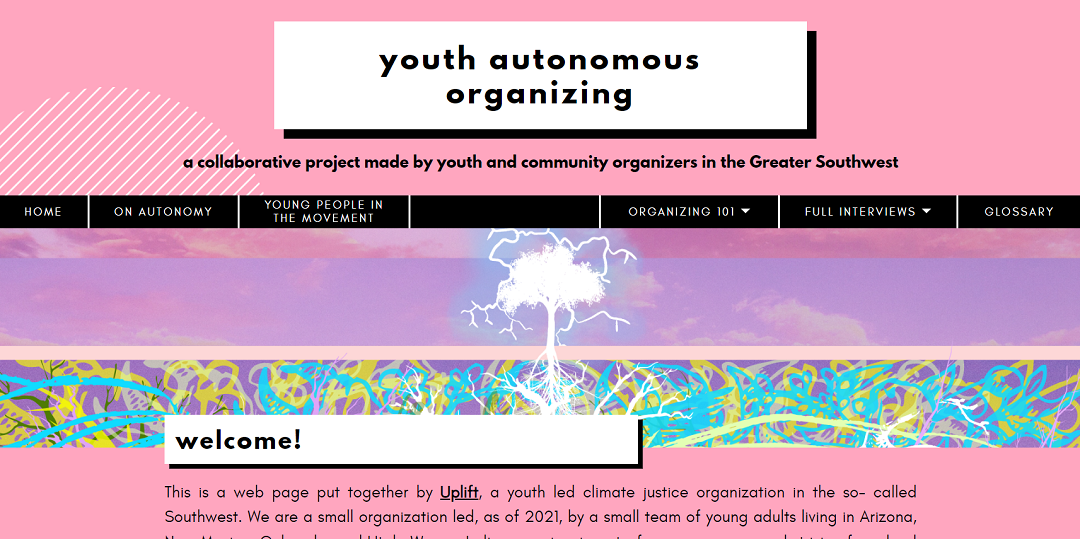 autonomousyouthorganizing.com